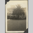 Group standing under palm tree outside building (ddr-densho-326-532)
