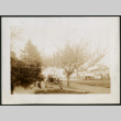 Car parked on the street (ddr-densho-359-925)