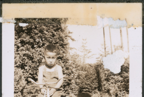 Two children with a tricycle (ddr-densho-483-1082)