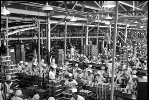Workers in canning factory (ddr-densho-426-252)