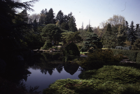 Pond in the Japanese Garden (ddr-densho-354-955)