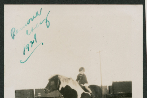child on horse (ddr-densho-378-839)