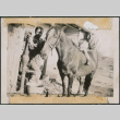 Man standing by horse with boy sitting on horse (ddr-densho-483-577)
