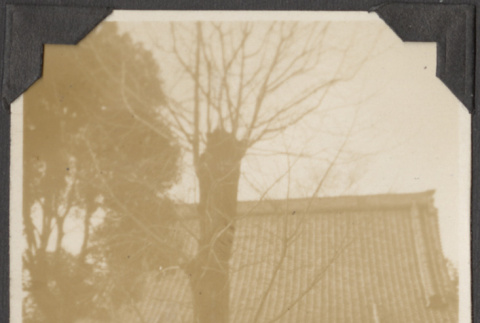The church, Kyotokuji (ddr-densho-432-103)