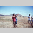 A man and a child examining a barbed wire fence at Tule Lake (ddr-densho-294-55)