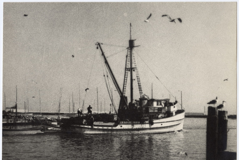 Seagulls fly around a fishing boat (ddr-densho-542-850)
