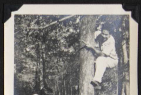Man chopping down tree (ddr-densho-542-772)