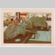 Indoor rock feature (ddr-densho-377-2238)