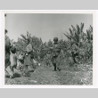 Merrill's Marauders and civilians in Myanmar (Burma) (ddr-densho-1007-241)