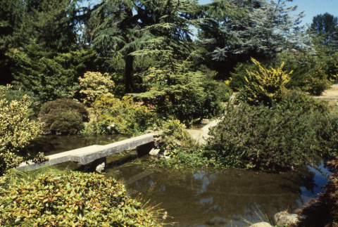 Pond and zig zag bridge (ddr-densho-354-1974)