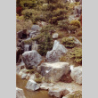 Middle and upper waterfall on the Mountainside (ddr-densho-354-166)