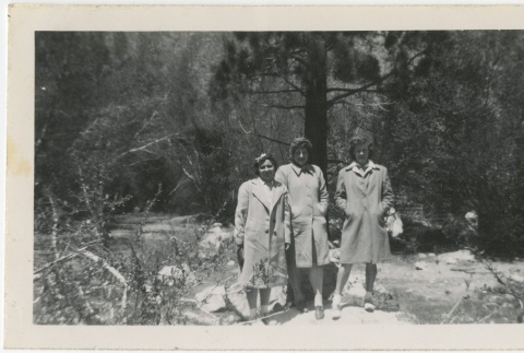 Three women in the woods (ddr-manz-7-19)
