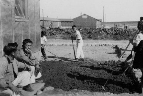 Japanese Americans creating a garden (ddr-densho-156-38)