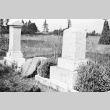 Cemetery vandalism (ddr-densho-37-287)