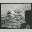 View of trees and a tower in Nara (ddr-densho-299-211)