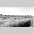 Former site of Minidoka concentration camp, Idaho (ddr-densho-35-32)