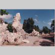 Landscape boulders in Saint Martin (ddr-densho-377-41)