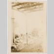 Snowy yard (ddr-densho-433-813)