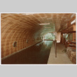 Indoor lap pool (ddr-densho-377-2517)