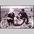 Soldier and strawberry farmer (ddr-densho-1007-666)