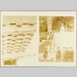 Photos of soldiers scaling a building, and military personnel and civilians at an event (ddr-njpa-13-715)