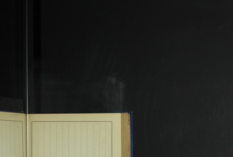 Page 394 (ddr-densho-255-6-master-466fa38052)