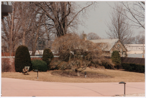 Yard before landscaping (ddr-densho-377-1872)