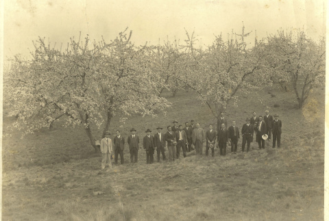 A group of men standing in a field of cherry trees (ddr-densho-293-34)