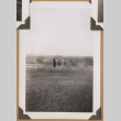 Woman in a field (ddr-densho-542-73)