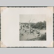 Scene at a zoo (ddr-densho-321-1008)