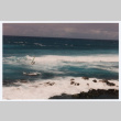 Windsurfers at Kahana Beach (ddr-densho-368-288)