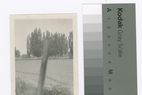 Unidentified landscape (ddr-densho-255-127)