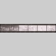 Negative film strip for Farewell to Manzanar scene stills (ddr-densho-317-100)