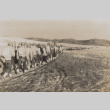 Soldiers walking in formation (ddr-janm-17-14)