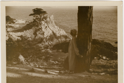 Tomoye (Nozawa) Takahashi leaning against tree looking out at coastline (ddr-densho-426-1786)