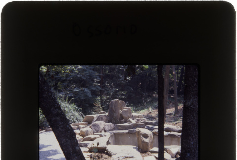 Garden under construction at the Ossorio project (ddr-densho-377-497)
