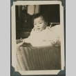 Photo of baby (ddr-densho-355-397)
