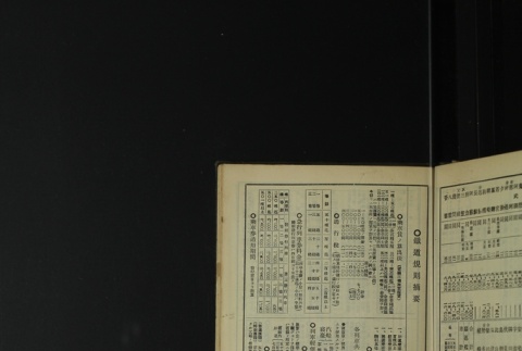 Page 481 (ddr-densho-255-1-master-b3306cda62)