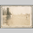 People running in field (ddr-densho-316-262)