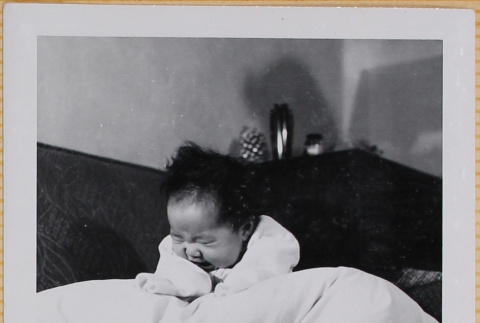 Leslie Shiomi (ddr-densho-522-345)