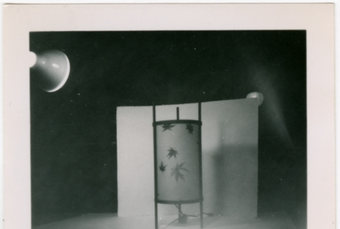 Lamp, with spotlight (ddr-densho-426-828)