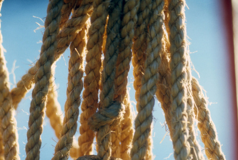 Rope and buoy (ddr-densho-336-830)