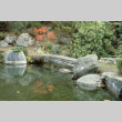 Japanese Garden (ddr-densho-354-2612)
