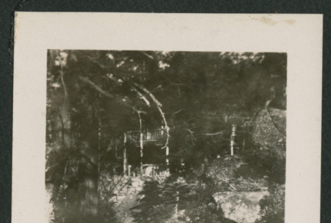woman lounging in forest (ddr-densho-378-851)