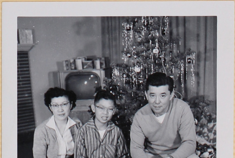 Family in front of Christmas tree (ddr-densho-522-524)