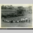 Okinawans working in a field (ddr-densho-179-28)