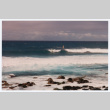 Windsurfers at Kahana Beach (ddr-densho-368-287)