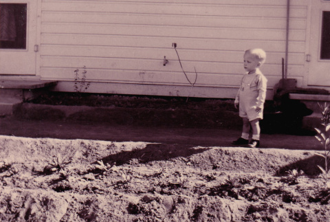 A toddler standing next to a garden (ddr-densho-315-22)