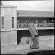 Group of people on dock (ddr-densho-426-280)