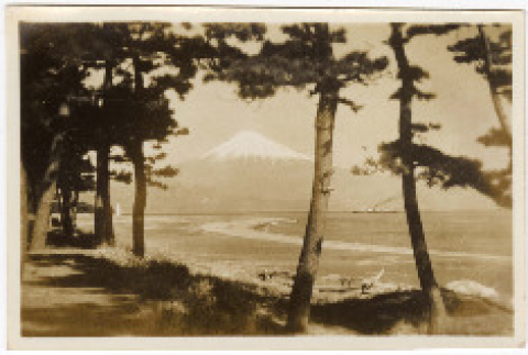 Photo front and back (ddr-densho-426-1770-mezzanine-b02908ce45)